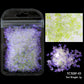 Holographic Nail Sequins Paillette