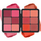 12 Color Blush Concealer Set