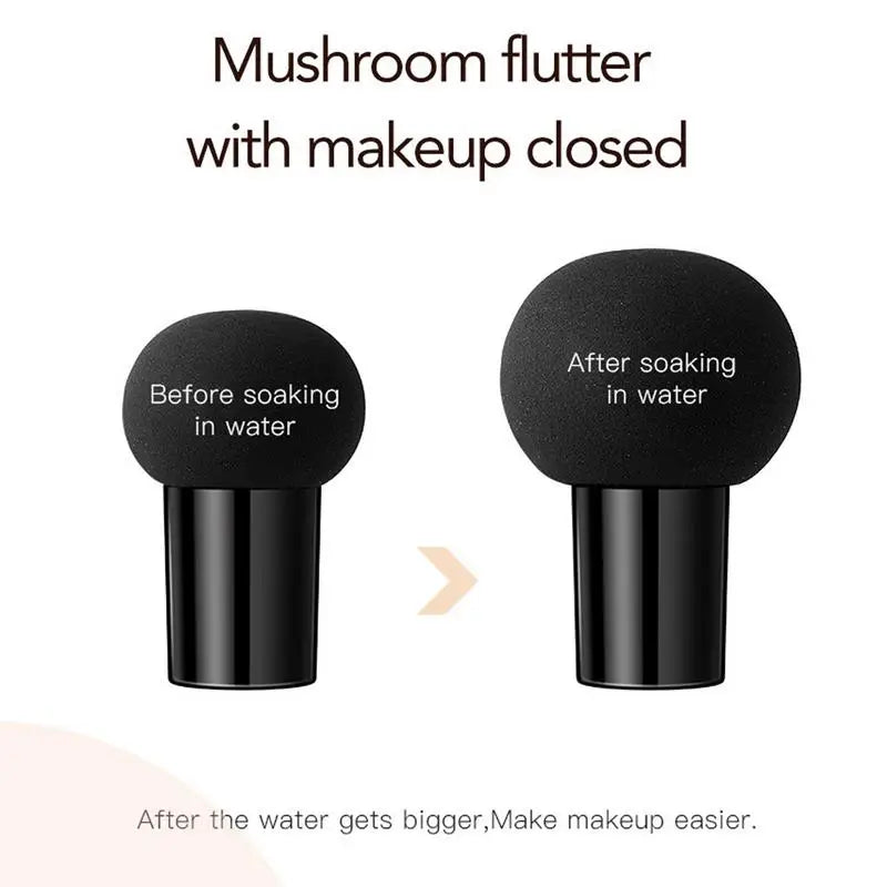 Oil Control Moisturizing BB Cream Cushion