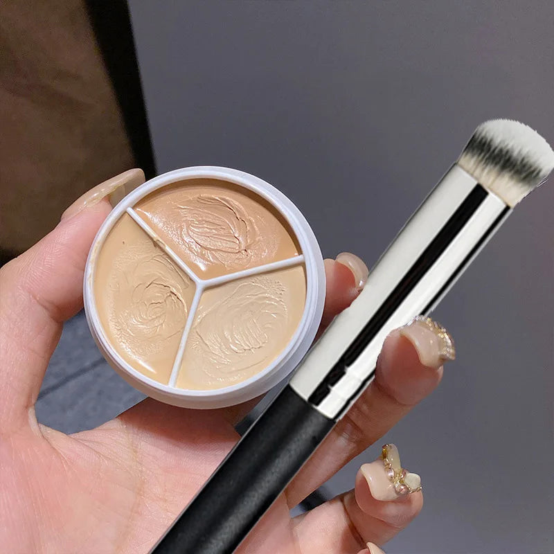 3 color Concealer Palette