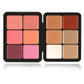 12 Color Blush Concealer Set