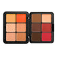 12 Color Blush Concealer Set