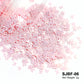 Holographic Nail Sequins Paillette